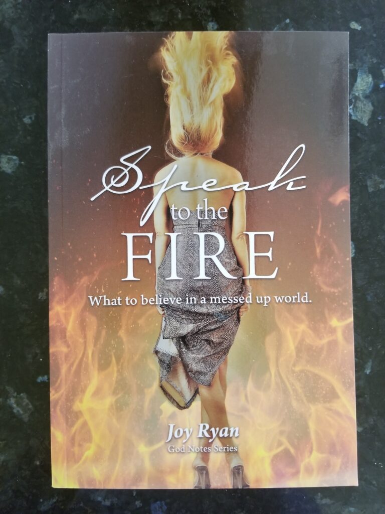 Book - Speak to the Fire by Joy Ryan - front cover